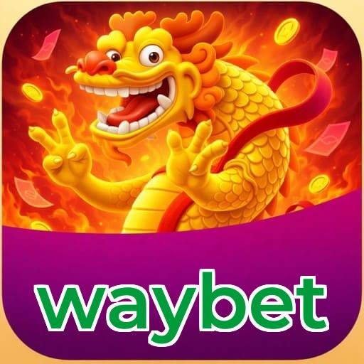 Comparação app mobile e versão web waybet